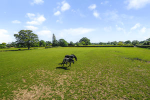 Photo 48- click for photo gallery